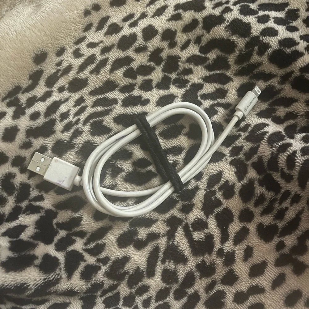 White iPhone USB Charging Cable